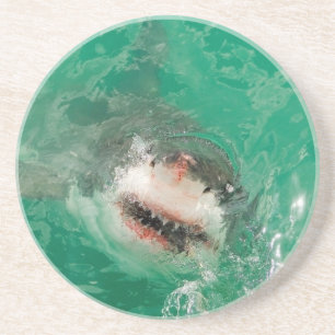 Posavasos De Arenisca Gran blanco Shark1