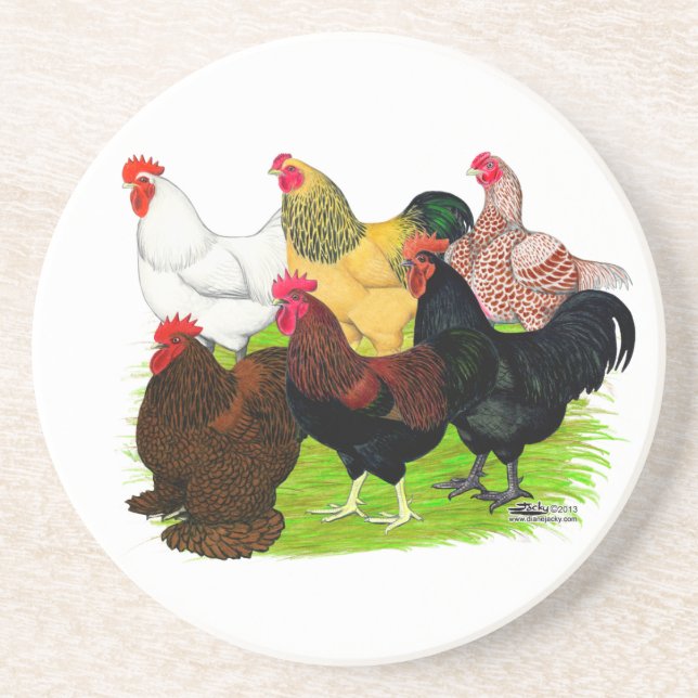 Posavasos De Arenisca Gran variedad de gallos (Frente)