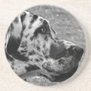 POSAVASOS DE ARENISCA GREAT DANE