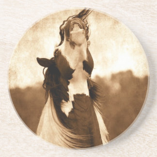 Posavasos De Arenisca Gypsy Vanner