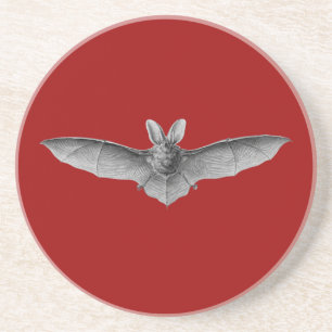 Posavasos De Arenisca Haeckel Bat