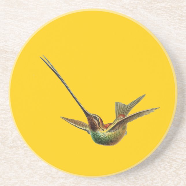 Posavasos De Arenisca Haeckel Bird (Frente)