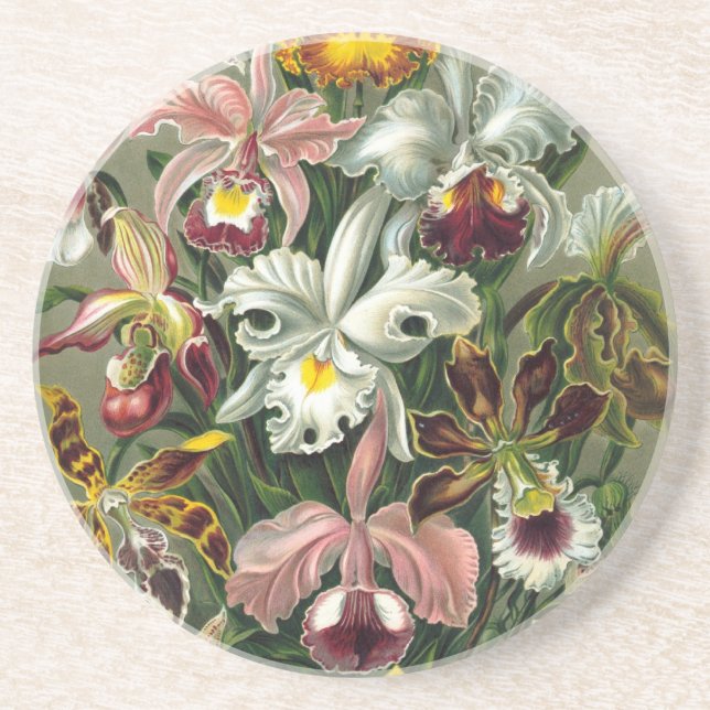 Posavasos De Arenisca Haeckel Orchids (Frente)