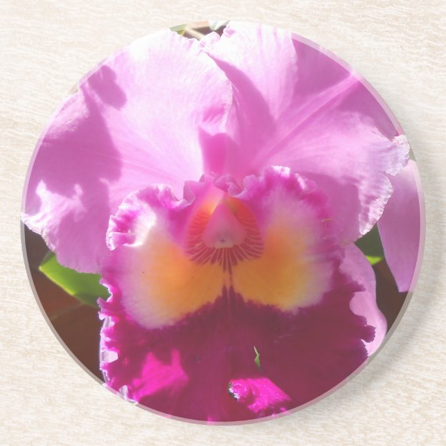 Posavasos De Arenisca Harlinde (Frente)