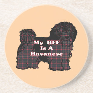 POSAVASOS DE ARENISCA HAVANESE BFF