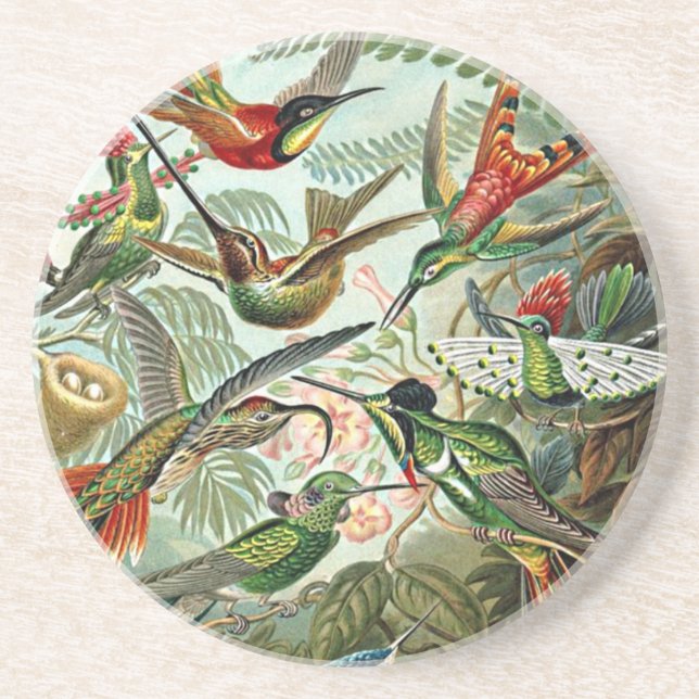Posavasos De Arenisca Heackal Naturaleza Arte Diseño de Aves Hummingbird (Frente)