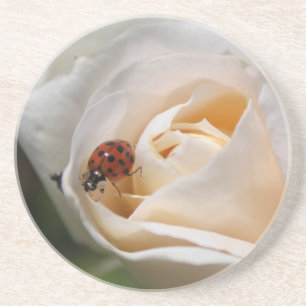 Posavasos De Arenisca hermosa flor rosa blanca y mariquita