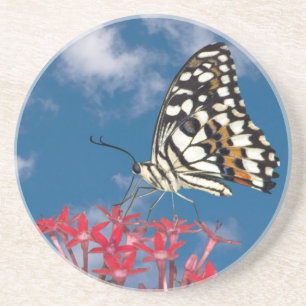 Posavasos De Arenisca Hermosa mariposa