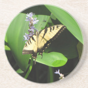 Posavasos De Arenisca Hermosa mariposa amarilla y negra