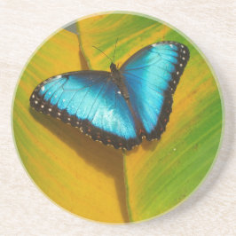 Posavasos De Arenisca Hermosa mariposa irlandesa