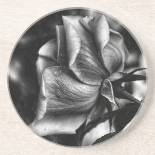 Posavasos De Arenisca Hermosa rosa en blanco y negro