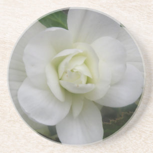 Posavasos De Arenisca Hermosas galeras de Carnación Blanca