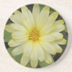 Posavasos De Arenisca Hermosas galeras de oro amarillo