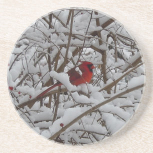 Posavasos De Arenisca Hermoso Cardenal Rojo en la montaña rusa de árbol
