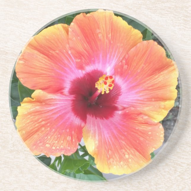 Posavasos De Arenisca Hibisco cósmico del bailarín (Frente)