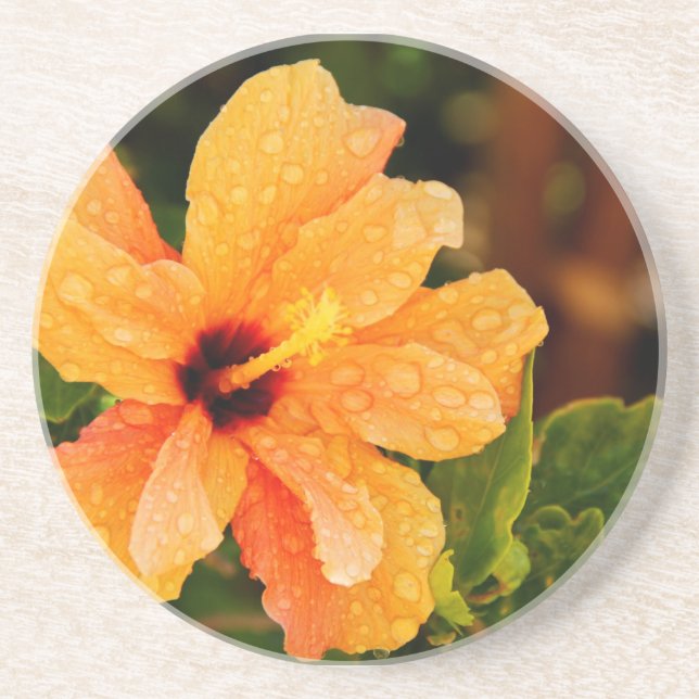 Posavasos De Arenisca Hibiscus (Frente)
