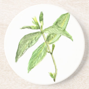 Posavasos De Arenisca Hierba de menta
