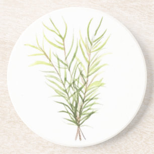 Posavasos De Arenisca Hierbas Rosemarias