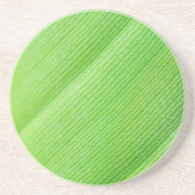 Posavasos De Arenisca Hoja de plátano joven verde (Frente)