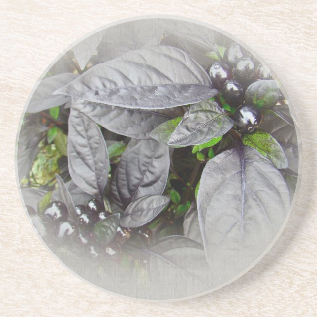Posavasos De Arenisca Hojas de plata y bayas (Frente)