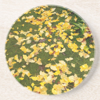 Posavasos De Arenisca Hojas del biloba del Ginkgo