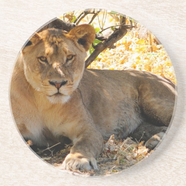 Posavasos De Arenisca Hora de Siesta (Frente)