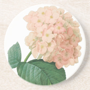 Posavasos De Arenisca Hortensia Flor de Hortensia Rosa Vintage por Redou