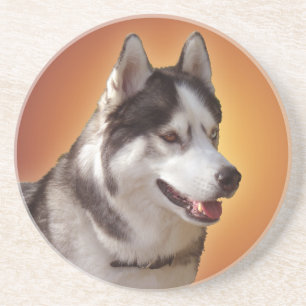 Posavasos De Arenisca Husky Coaster Husky Malamute Sled Dog Coaster