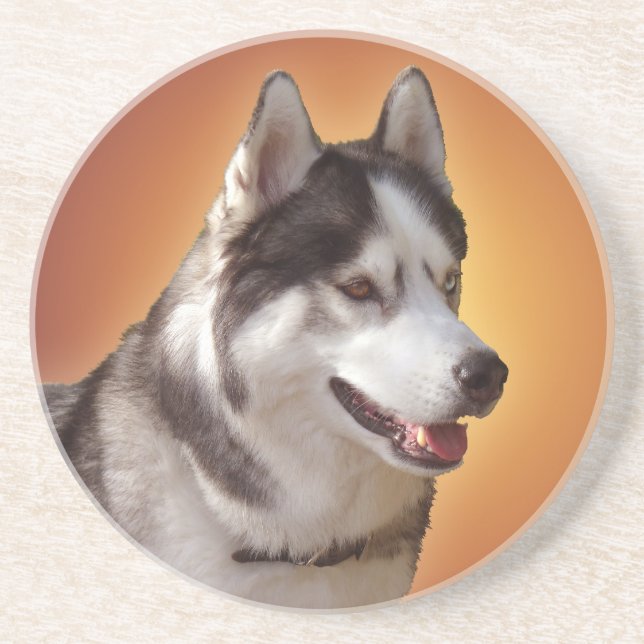 Posavasos De Arenisca Husky Coaster Husky Malamute Sled Dog Coaster (Frente)