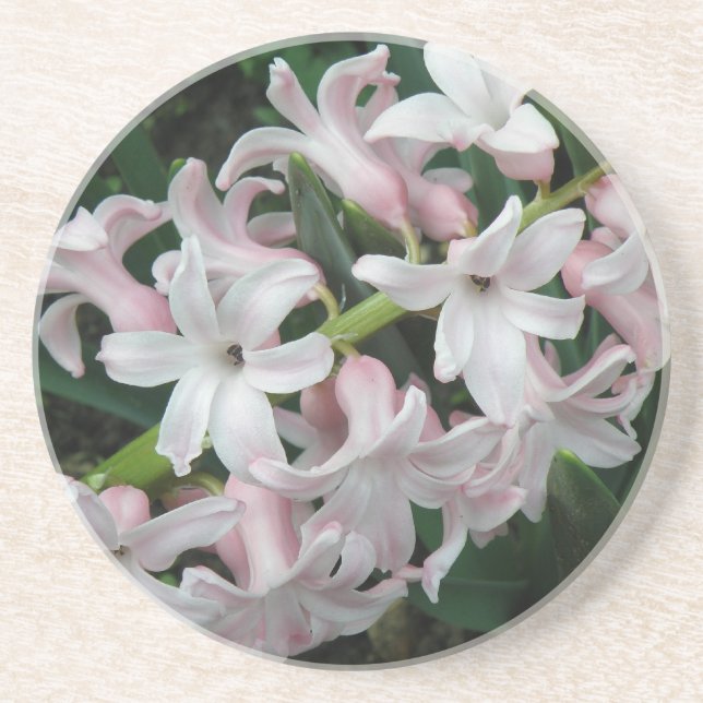 Posavasos De Arenisca Hyacinths Coasters (Frente)