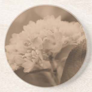 Posavasos De Arenisca Hydrangea suave Sepia Floral