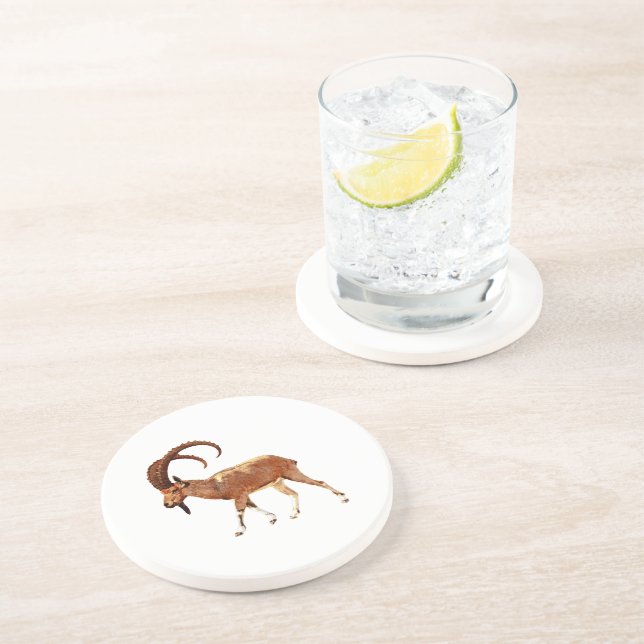 Posavasos De Arenisca Ibex nubio - Ein Gedi (Lado)