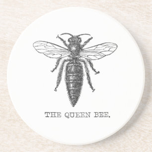 Posavasos De Arenisca Ilustracion de antigüedades de insectos de Queen B
