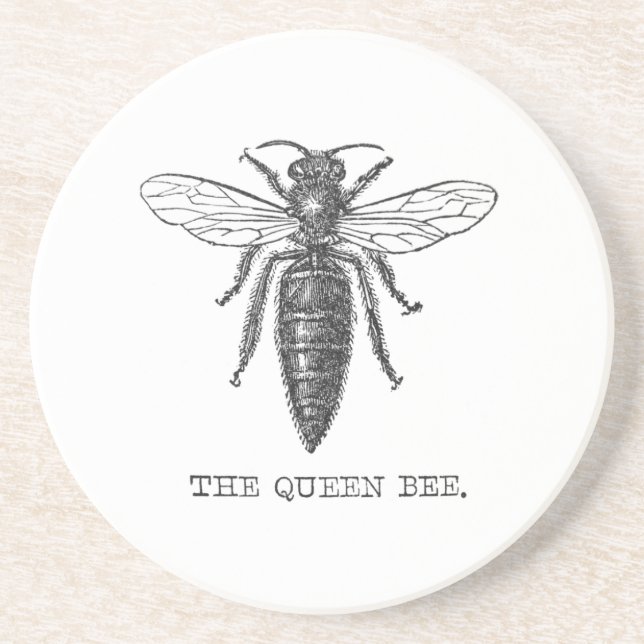 Posavasos De Arenisca Ilustracion de antigüedades de insectos de Queen B (Frente)