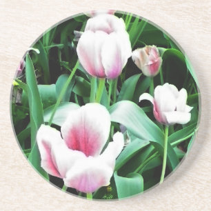 Posavasos De Arenisca Imagen rosa de tulipanes