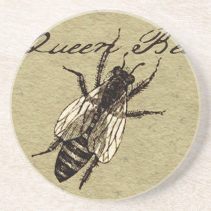 Posavasos De Arenisca Inscripción de Bug de Vida Silvestre Queen Bee