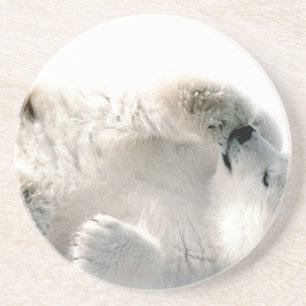 Posavasos De Arenisca Invierno congelado ártico animal lindo de Cub del