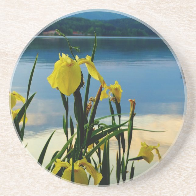 Posavasos De Arenisca Iris amarillo en la orilla del lago (Frente)
