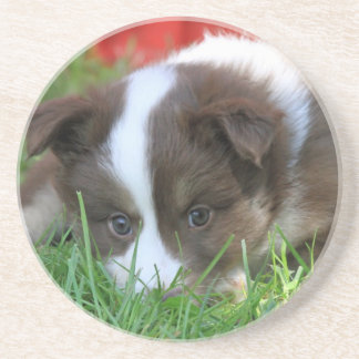 Posavasos De Arenisca Islandhund