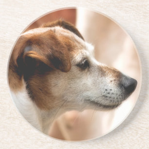POSAVASOS DE ARENISCA JACK RUSSELL TERRIER DOG