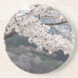 Posavasos De Arenisca Japan Kumamoto Cherry Blossom
