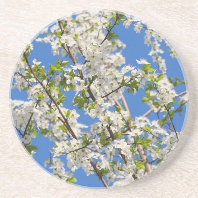 Posavasos De Arenisca jardín de primavera (Frente)