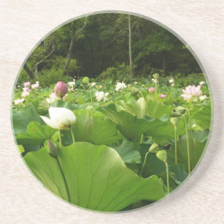 Posavasos De Arenisca Jardín de verano de Lotus Flowers