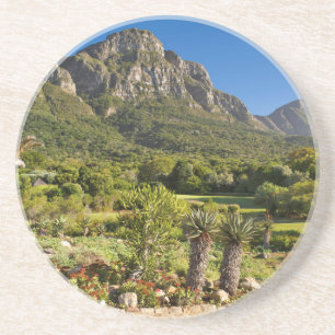 Posavasos De Arenisca Jardines botánicos de Kirstenbosch, Ciudad del Ca