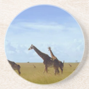 Posavasos De Arenisca Jirafas Safari Africano