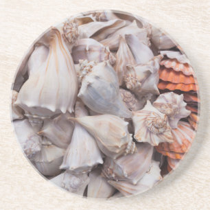 Posavasos De Arenisca Key West, conchas marinas