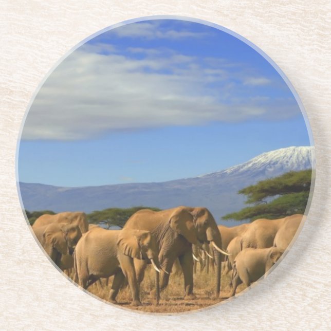 Posavasos De Arenisca Kilimanjaro y elefantes (Frente)