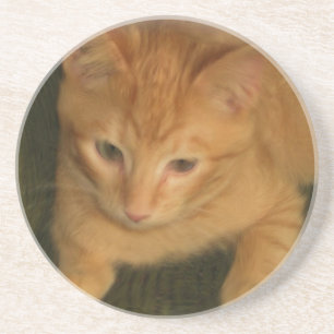 Posavasos De Arenisca Kitty Coaster