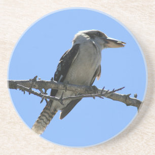 Posavasos De Arenisca Kookaburra australiana