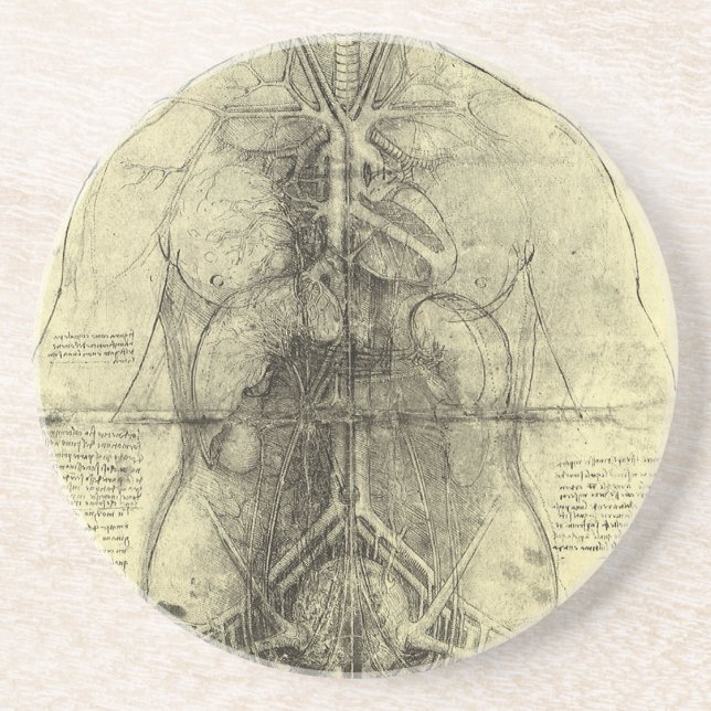 Posavasos De Arenisca La anatomía humana de Leonardo da Vinci (Frente)